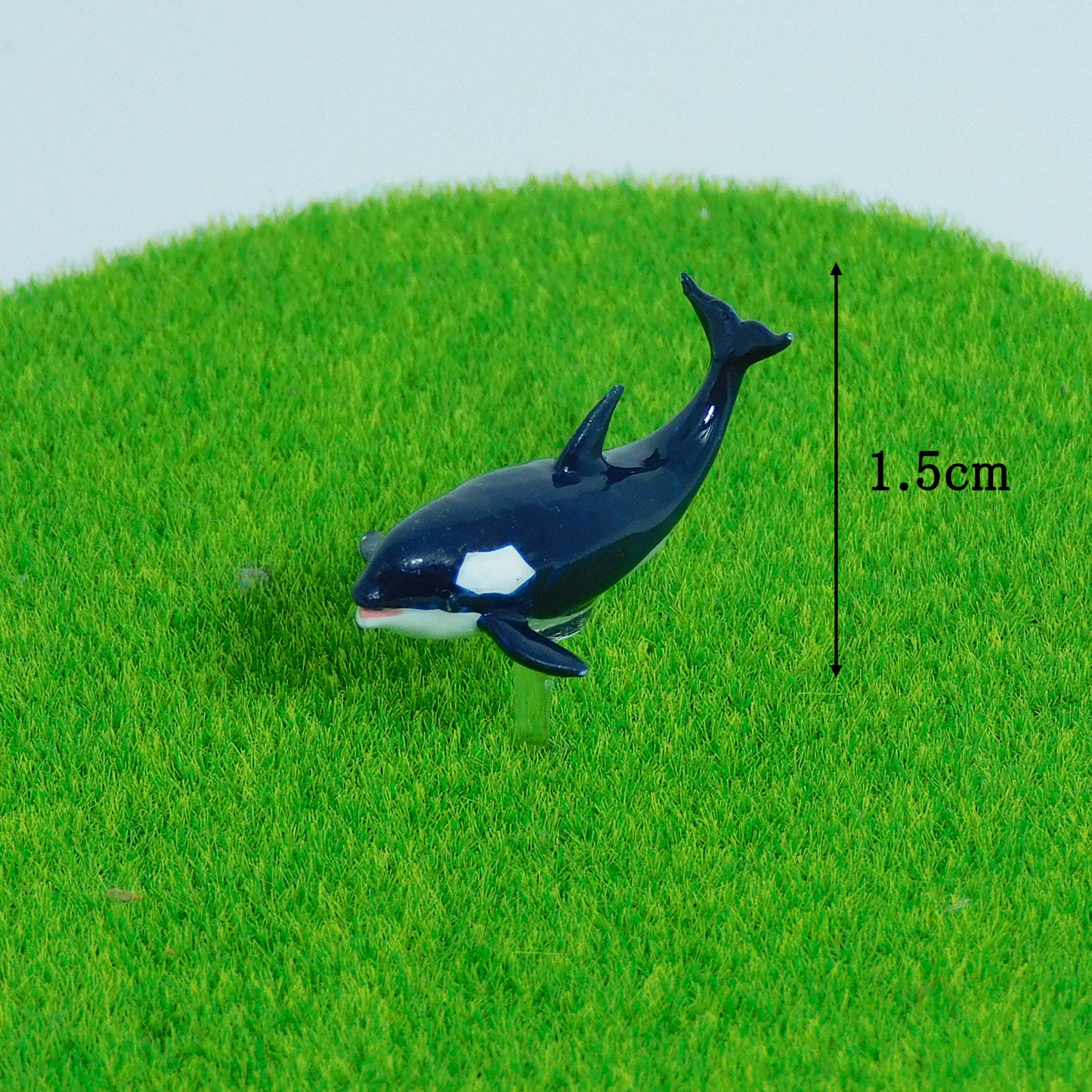 【シャチ】テラリウム用フィギュア