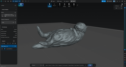 【ラッコ３D】～Sea otter～