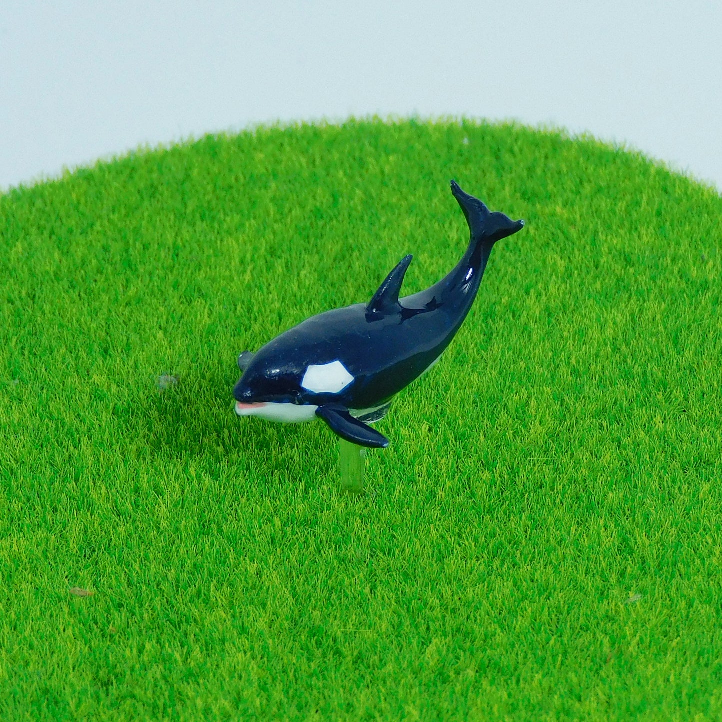【シャチ】テラリウム用フィギュア