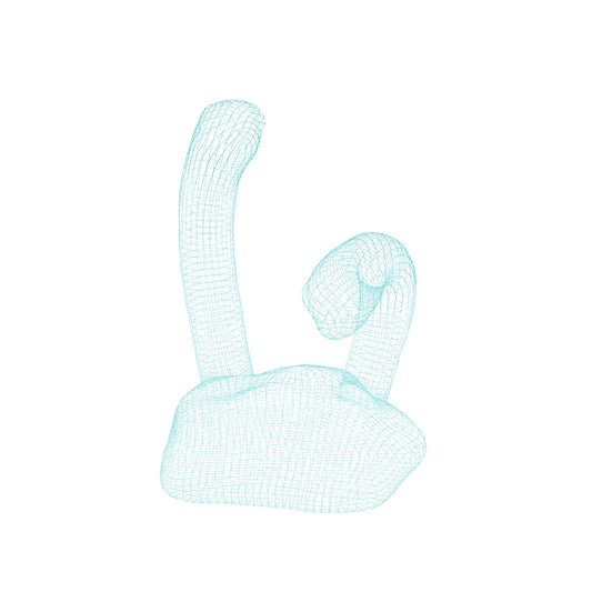 【チンアナゴ３D】～Potted Garden Eel～