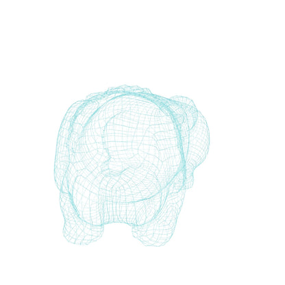 【セントバーナード３D】～Dog～