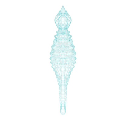 【タツノオトシゴ３D】～Seahorse～