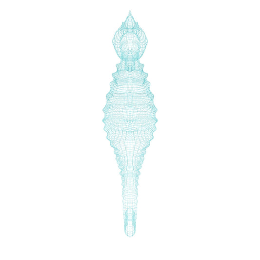 【タツノオトシゴ３D】～Seahorse～