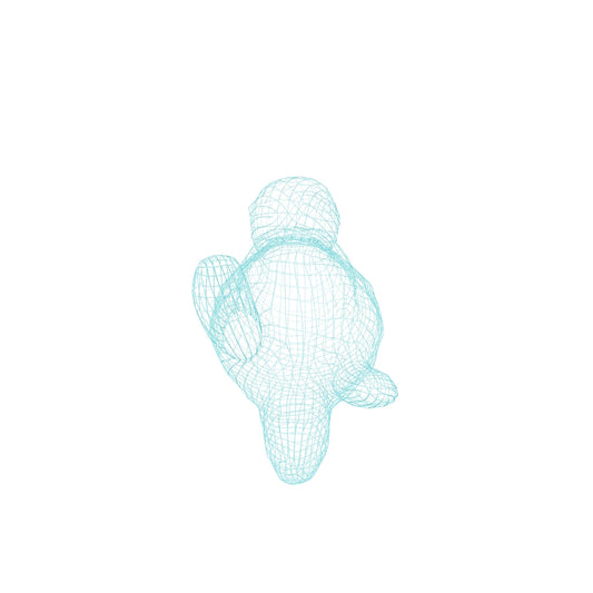 【ラッコ３D】～Sea otter～