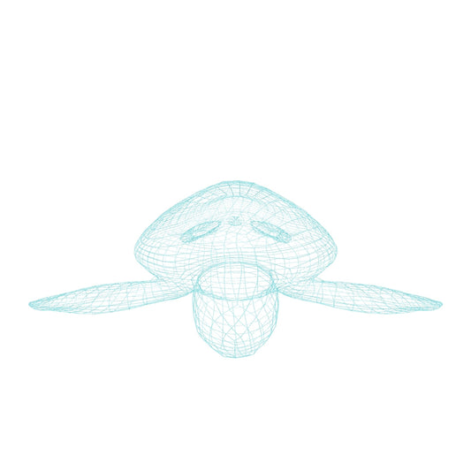 【ウミガメ３D】～Sea turtle～
